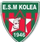 ESM科洛亚 logo