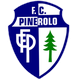 皮内罗洛 logo