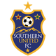 南方联女足 logo