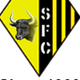 沙龙FC  logo