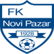 新帕扎尔U19 logo