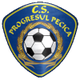 普罗格雷索佩西卡  logo
