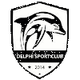 德尔福SC女足 logo