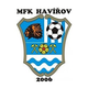 哈维瓦  logo