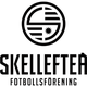 斯盖乐夫提  logo