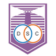 德芬索U19  logo