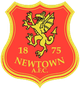 纽顿  logo