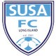 苏沙女足  logo