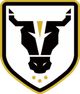 公牛学院女足 logo