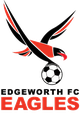埃奇沃斯伊格斯后备队  logo
