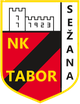 塔博塞扎纳U19 logo