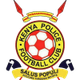 肯尼亚警察 logo
