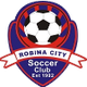 罗宾市蓝 logo
