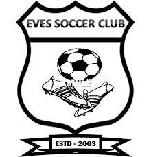 艾维斯SC女足 logo