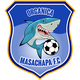 马萨查帕有机  logo