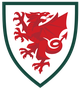 威尔士女足U19 logo