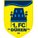 杜伦  logo