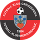 FK米耶尔库雷亚丘克  logo