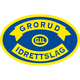 格鲁德U19 logo