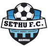 塞图乌斯女足  logo