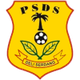 PSDS德利  logo