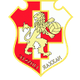 纳沙尔狮队  logo