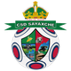 萨雅切  logo