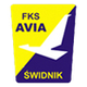 威亚斯威德尼克 logo