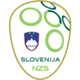 斯洛文尼亚U19  logo