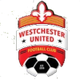 西切斯特联U19  logo