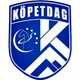 科佩达格  logo