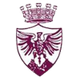 博尔戈塞  logo