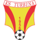 图尔维纳策里克 logo
