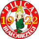 皮利察比亚沃布热吉  logo