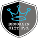 布鲁克林城女足 logo
