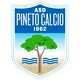 皮内托U19  logo