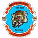 麦地那联队FC  logo
