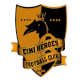 埃米英雄女足  logo