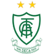 阿美利加明尼路女足  logo