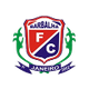 巴巴利亚  logo