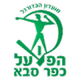 法萨巴夏普尔U19 logo