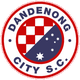 丹德农市U21  logo