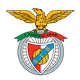本菲卡U23  logo
