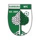 兰伯拉女足  logo
