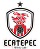 埃卡泰佩克FC logo