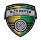 尼科联 logo