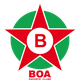 博阿 logo