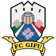 FC岐阜  logo